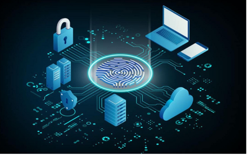 Điều khoản sử dụng Báo nghệ sĩ